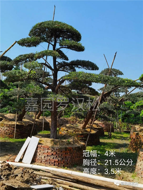 微信圖片_20201211105048.jpg