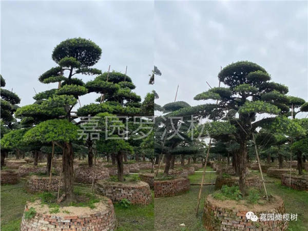 微信圖片_20201211105125.jpg