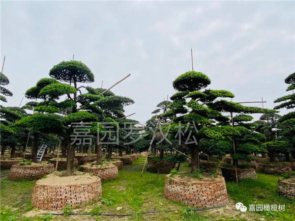 微信圖片_20201211105130.jpg